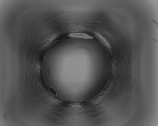 X0000091690113200709131614