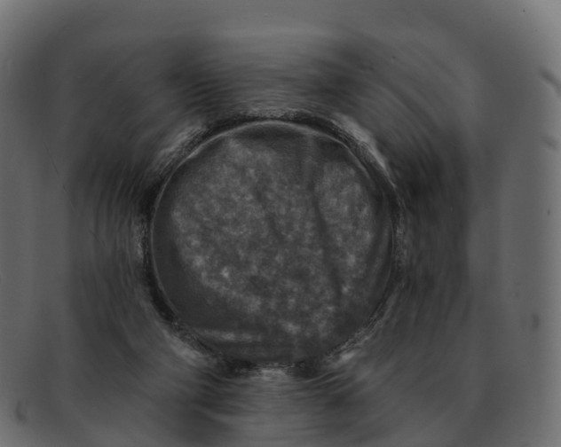 X0000091690114200709131614