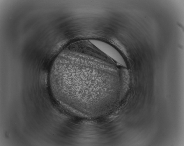 X0000091690115200709131614