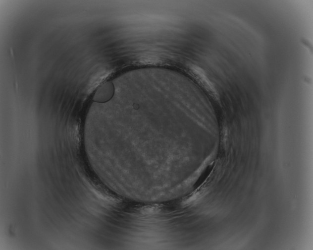 X0000091690116200709131614