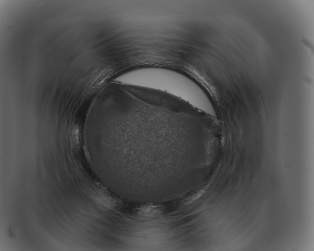 X0000091690117200709131614