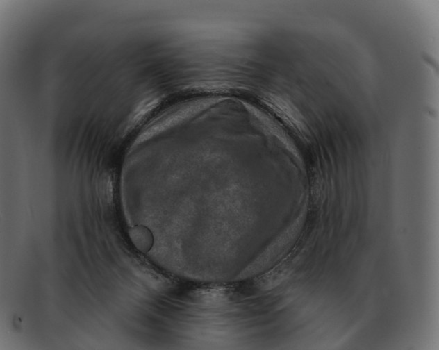 X0000091690120200709131614