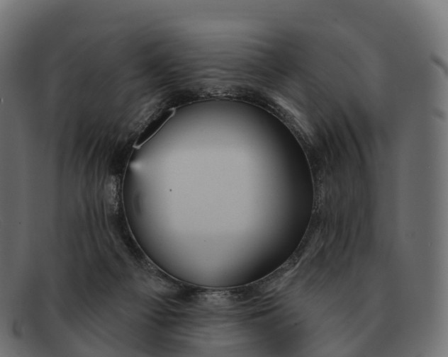 X0000091690121200709131614