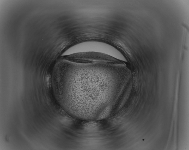 X0000091690123200709131614