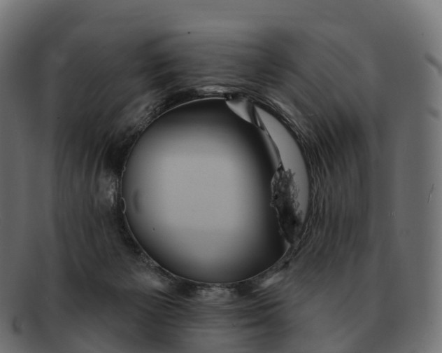 X0000091690125200709131614