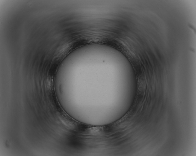 X0000091690126200709131614