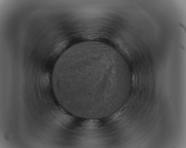 X0000091690128200709131614