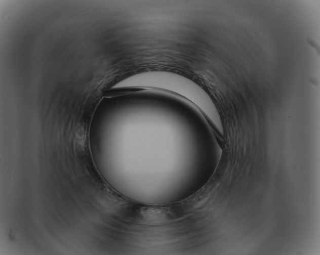 X0000091690129200709131614