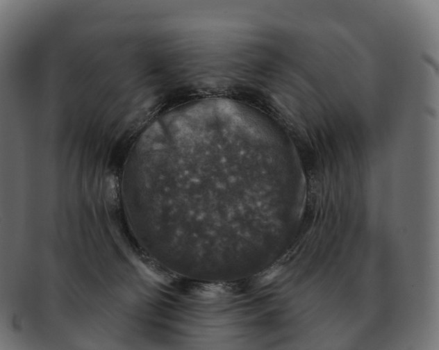 X0000091690130200709131614