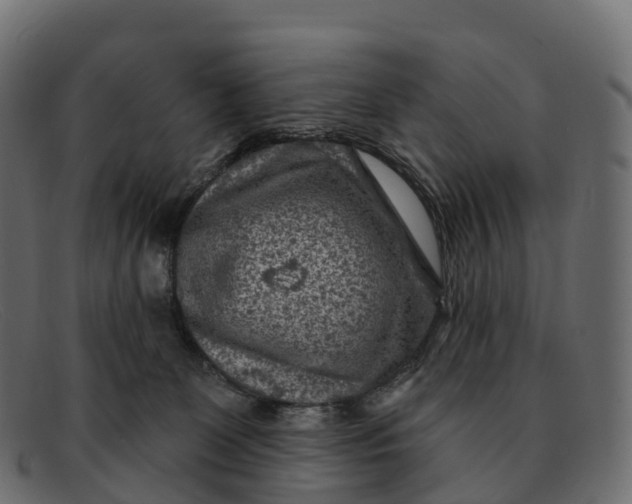 X0000091690131200709131614