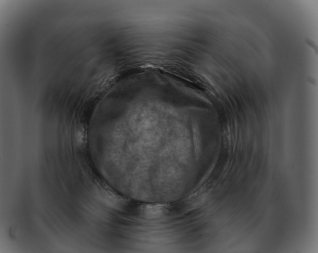 X0000091690134200709131614