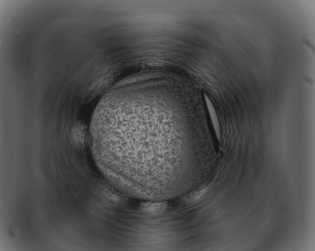 X0000091690135200709131614