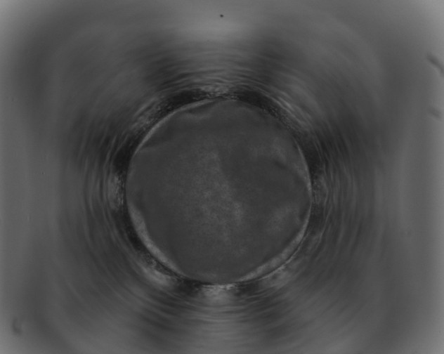 X0000091690136200709131614