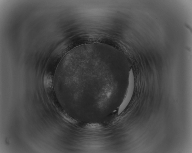 X0000091690137200709131614