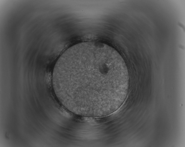 X0000091690144200709131614