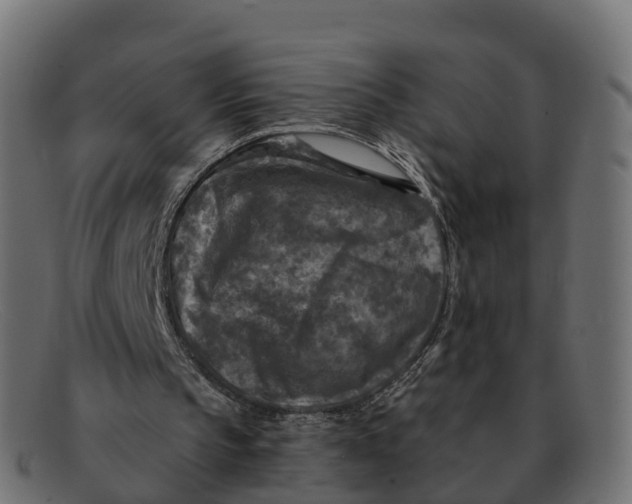 X0000091690145200709131613