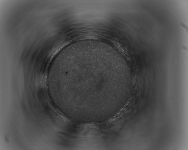 X0000091690146200709131613