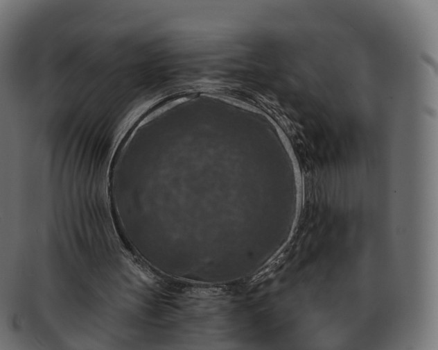 X0000091690147200709131613