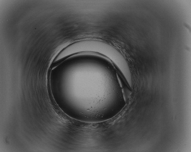 X0000091690148200709131613