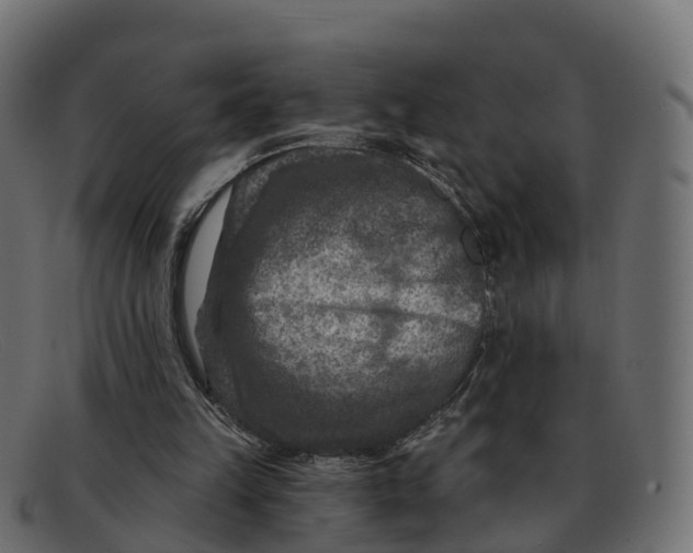 X0000091690149200709131613