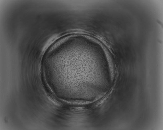 X0000091690151200709131613