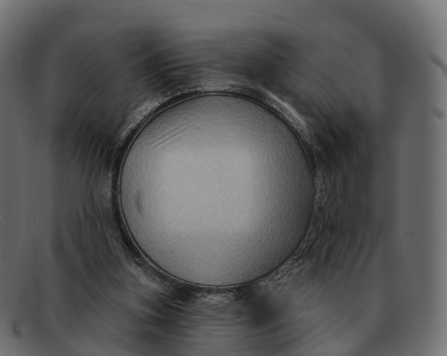 X0000091690155200709131613