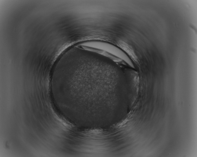 X0000091690156200709131613