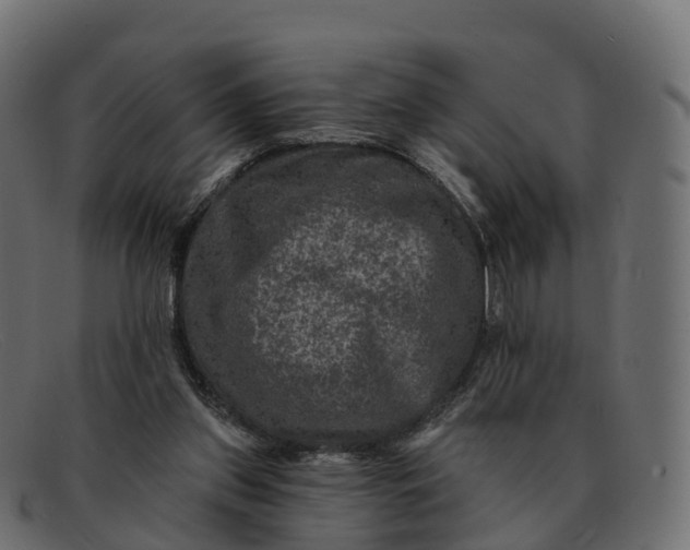 X0000091690157200709131613