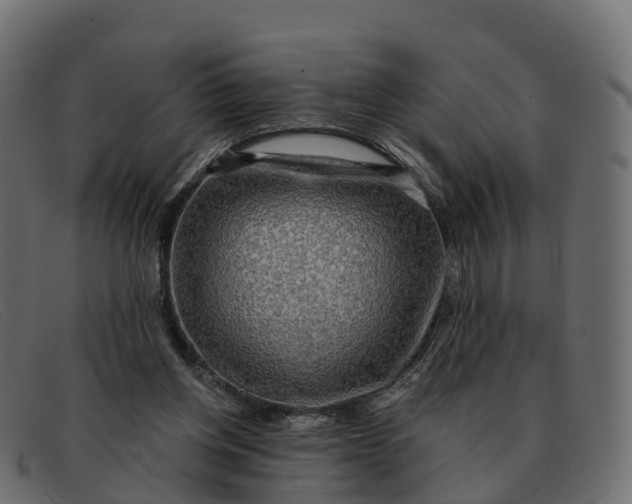 X0000091690158200709131613