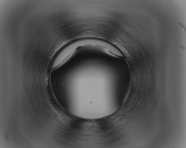 X0000091690160200709131613