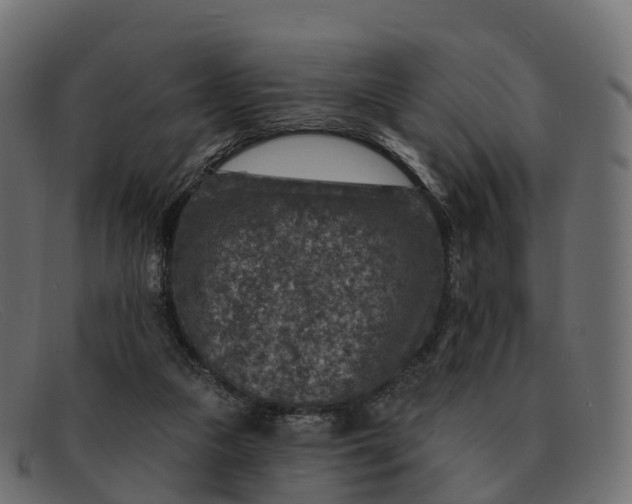 X0000091690161200709131613