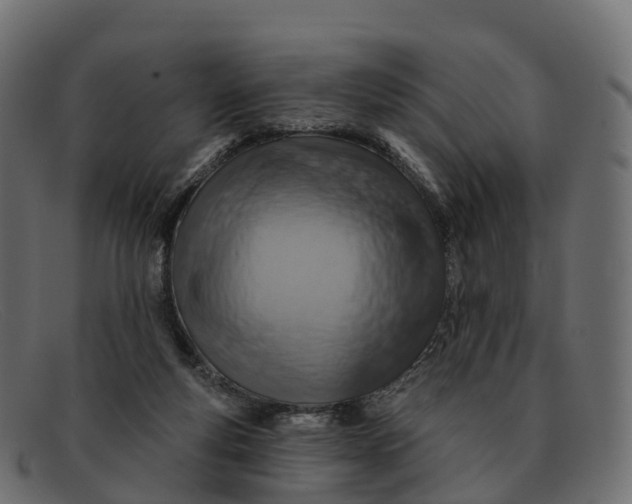 X0000091690163200709131613