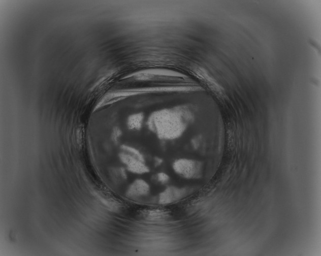 X0000091690165200709131613