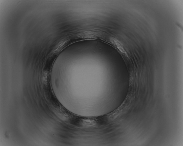 X0000091690167200709131613