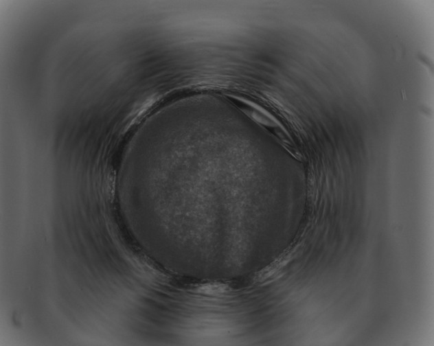 X0000091690168200709131613