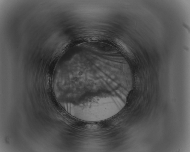 X0000091690169200709131613