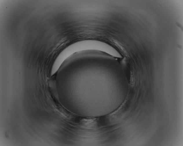 X0000091690170200709131613