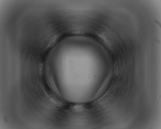 X0000091690171200709131613