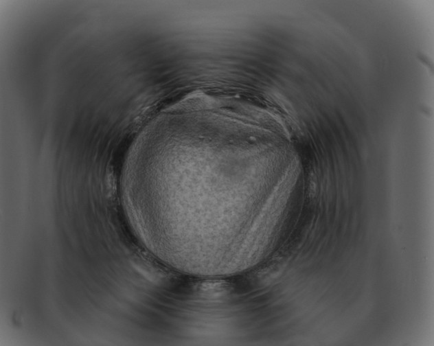 X0000091690173200709131613