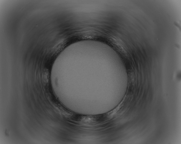 X0000091690174200709131613