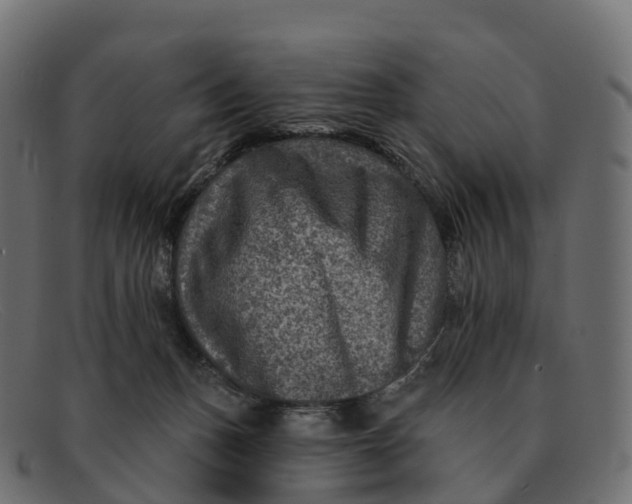 X0000091690175200709131613