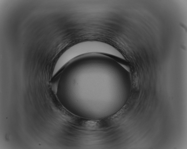 X0000091690176200709131614