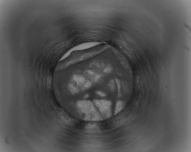 X0000091690177200709131614