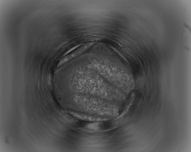 X0000091690178200709131614