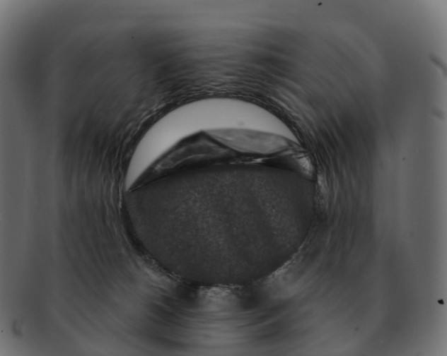 X0000091690180200709131614