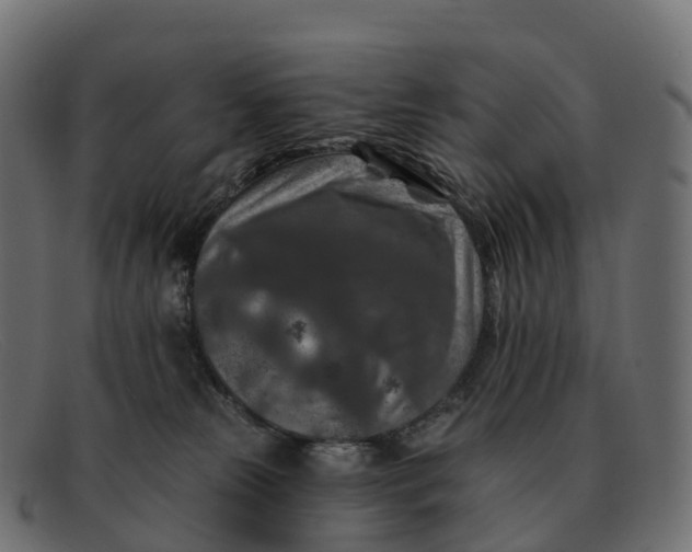 X0000091690181200709131614