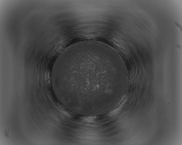 X0000091690182200709131614