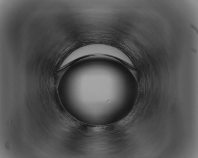 X0000091690184200709131614