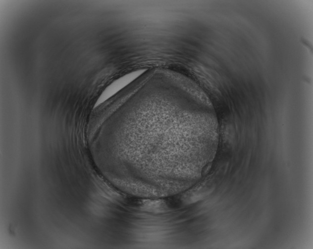 X0000091690185200709131614