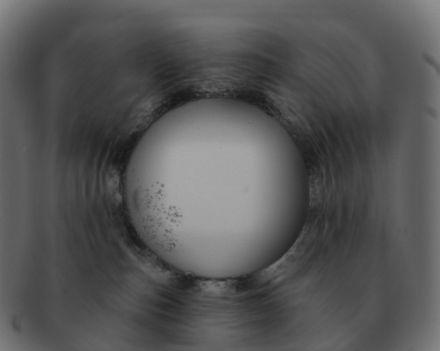 X0000091690187200709131614